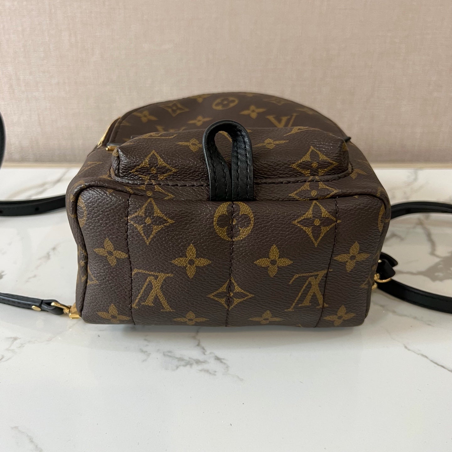 Louis Vuitton Backpack