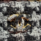 Chanel Tweed Crossbody AS3638-B09198-NK082