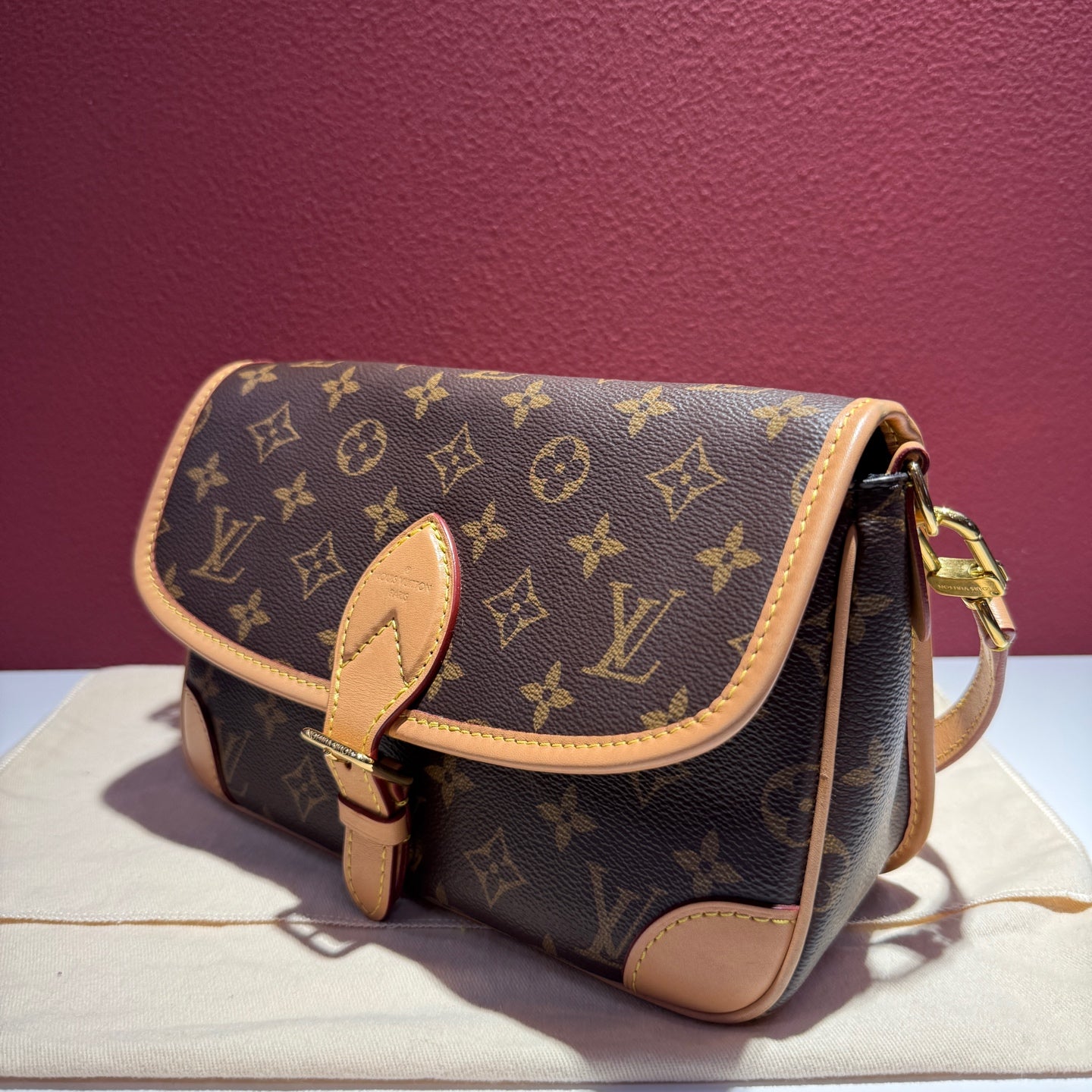 Louis Vuitton Diane Crossbody 24x15x9cm M45985