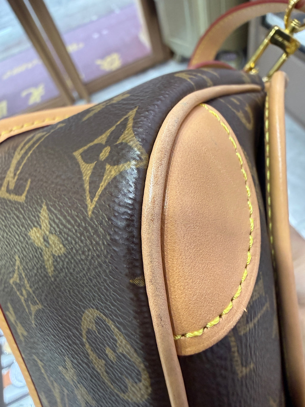 Louis Vuitton Diane Crossbody 24x15x9cm M45985