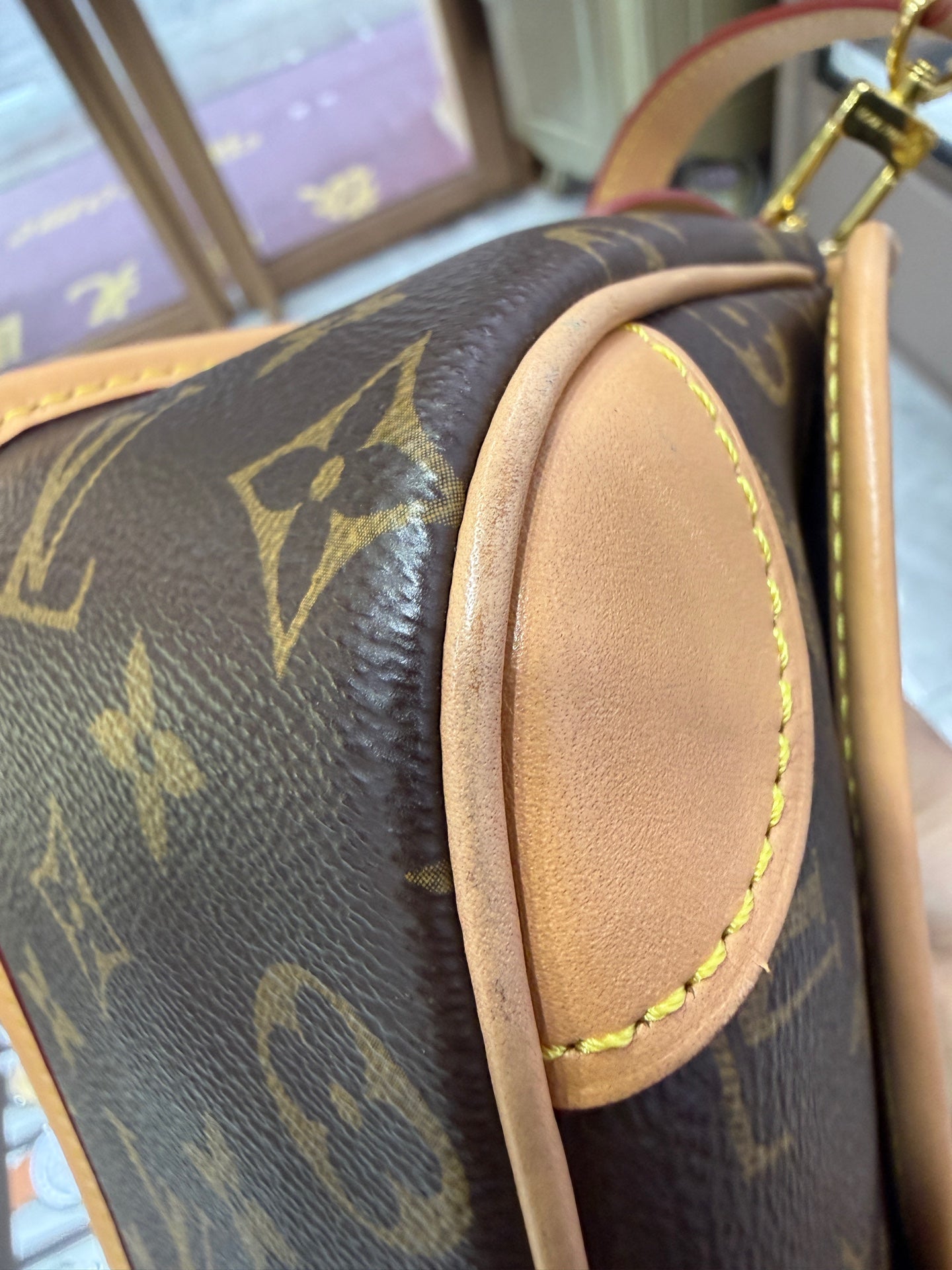 Louis Vuitton Diane Crossbody 24x15x9cm M45985