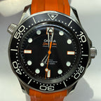 Omega Seahorse Series 42mm 210.32.42.20.01.006