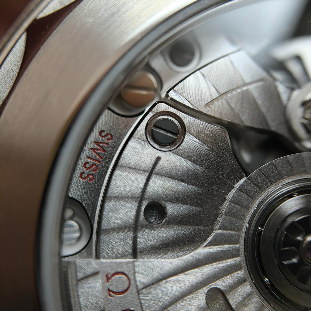 Omega Seahorse Series 38 220.10.38.20.09.001