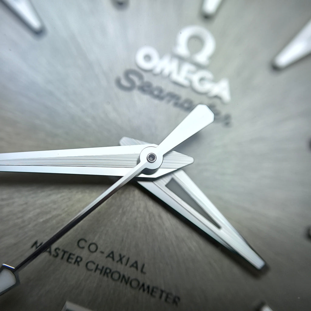 Omega Seahorse Series 38 220.10.38.20.09.001