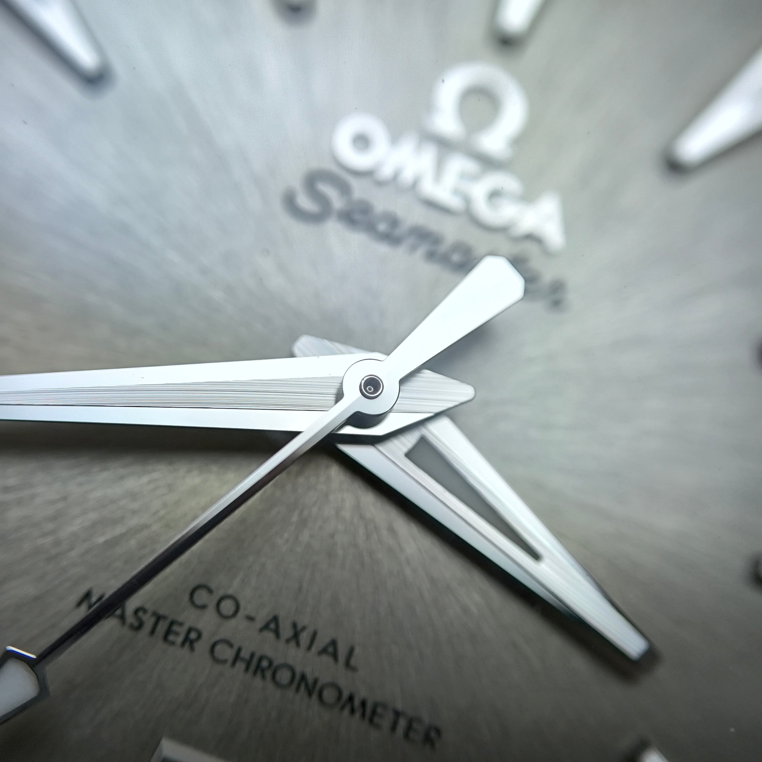 Omega Seahorse Series 38 220.10.38.20.09.001