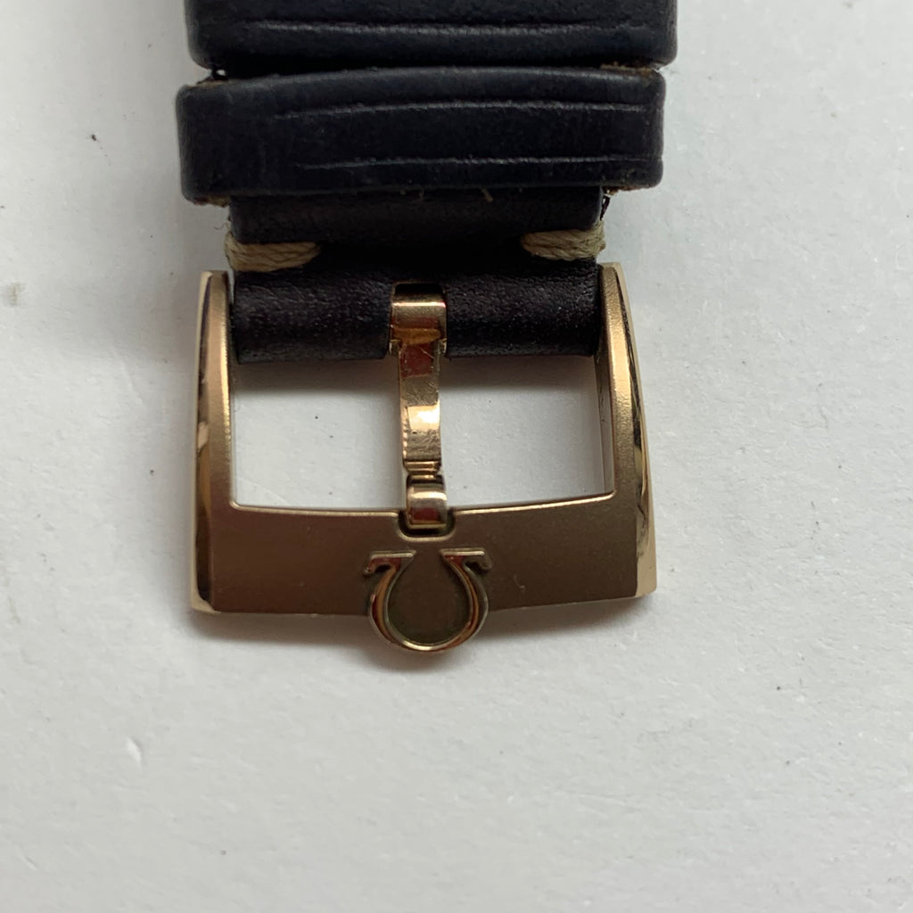 Omega Professional Series 43 329.92.43.51.10.001