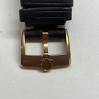 Omega Professional Series 43 329.92.43.51.10.001