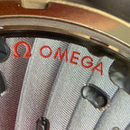 Omega Professional Series 43 329.92.43.51.10.001