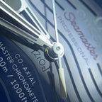 Omega Seahorse Series 42 210.30.42.20.03.001