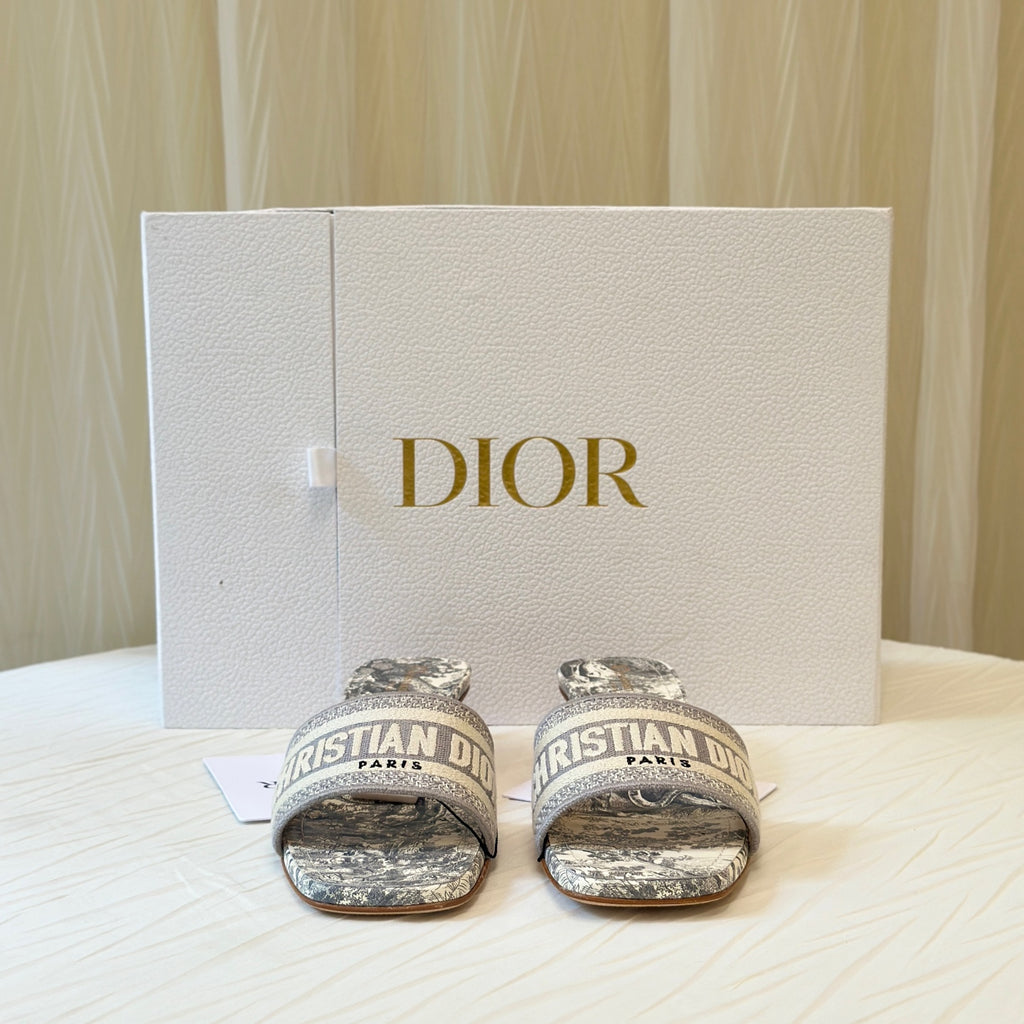 Dior Gray Flip flop