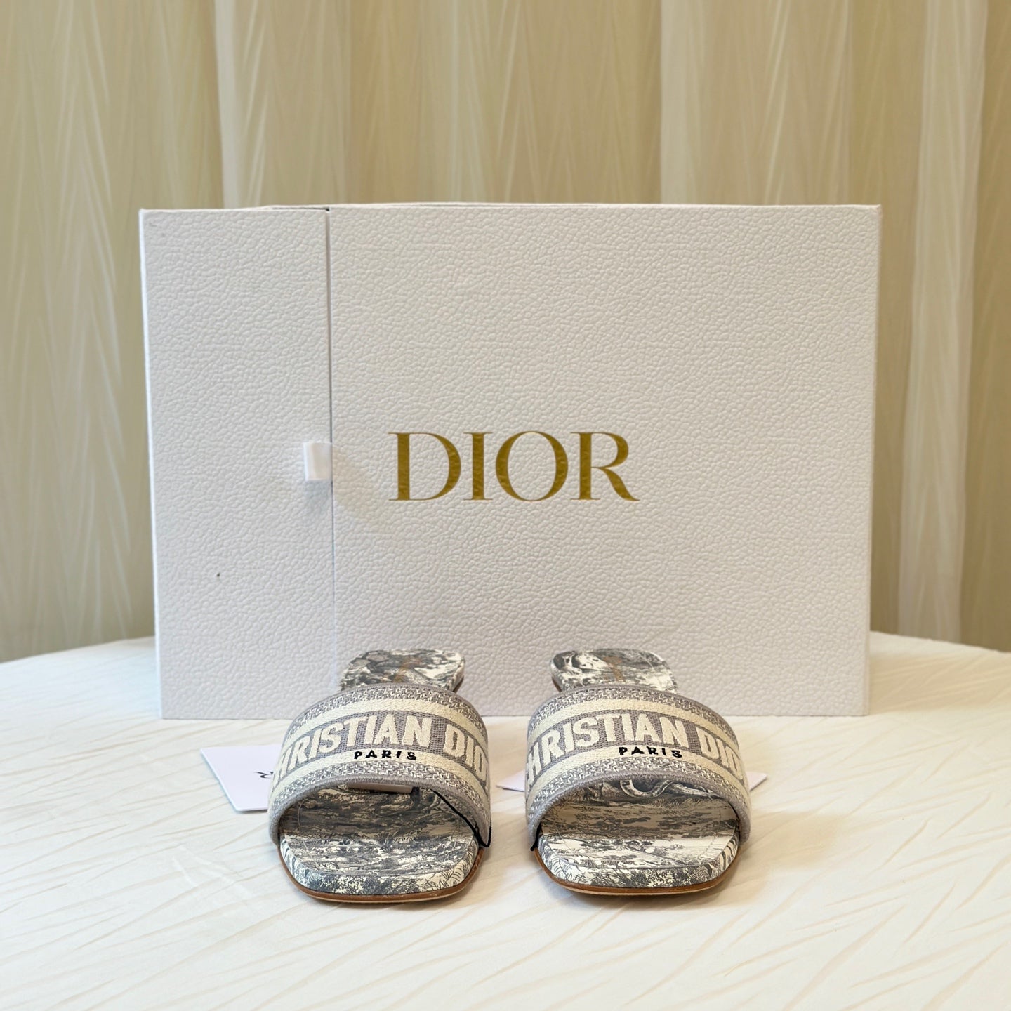 Dior Gray Flip flop