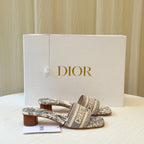 Dior Gray Flip flop