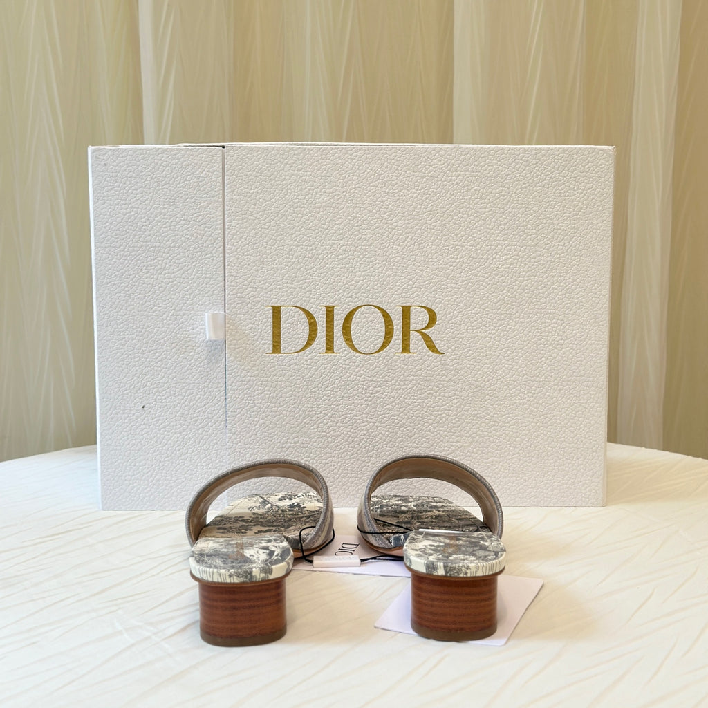 Dior Gray Flip flop