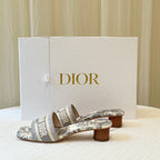 Dior Gray Flip flop