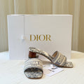 Dior Gray Flip flop