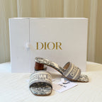 Dior Gray Flip flop