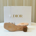 Dior Gray Flip flop