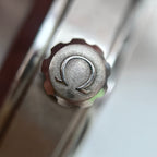 Omega Seahorse 43 millimeters 220.12.43.22.03.002