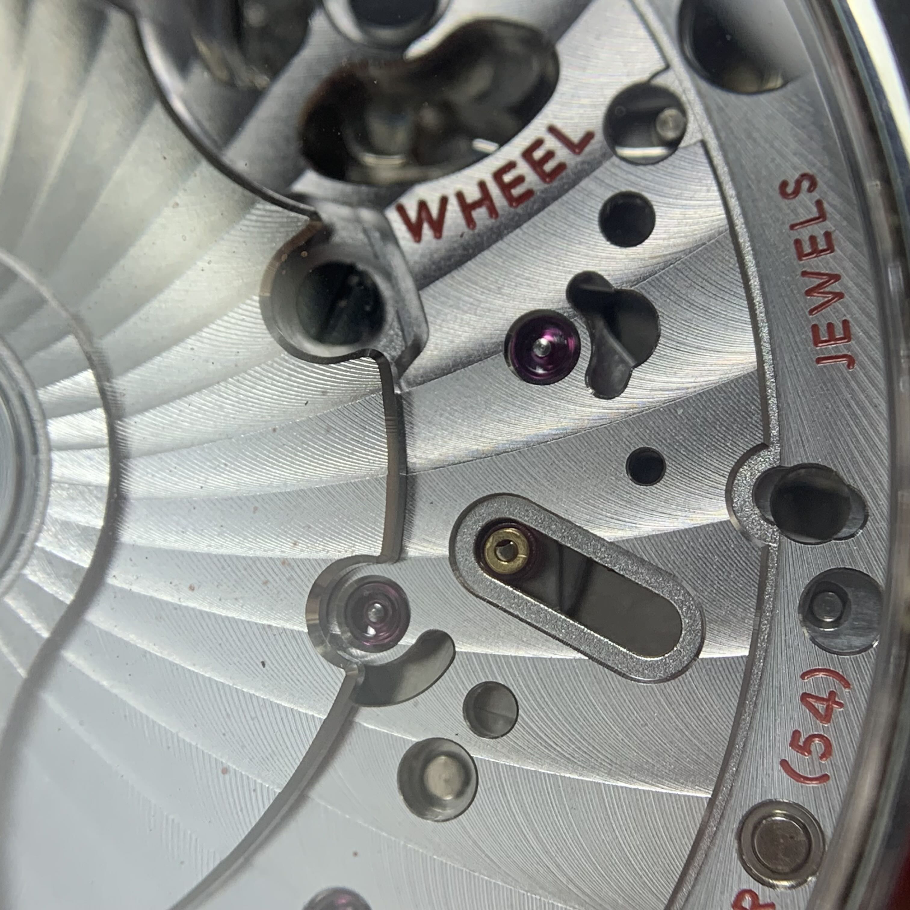 Omega Seahorse Series 45.5 215.30.46.51.01.002