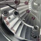 Omega Seahorse Series 45.5 215.30.46.51.01.002