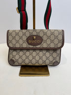 Gucci Belt Bag & Fanny Pack