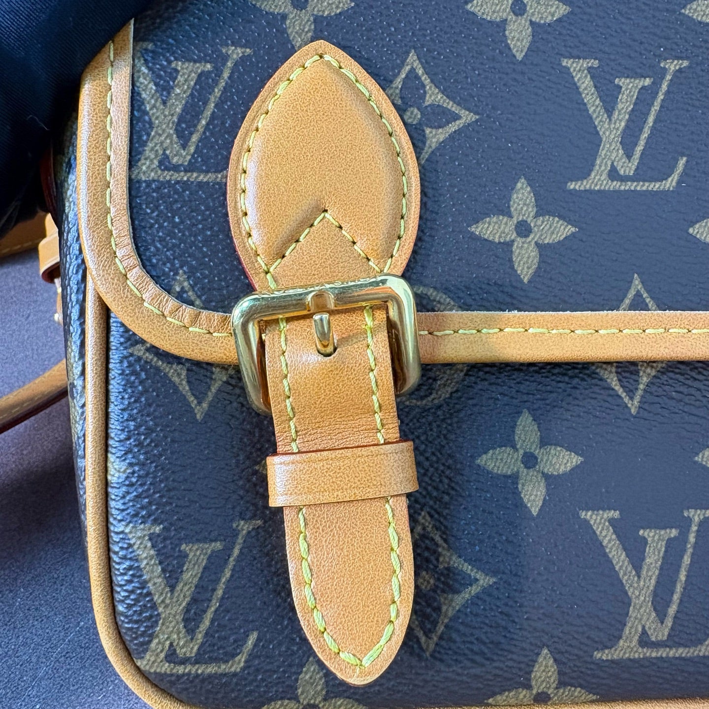 Louis Vuitton Messenger Bag