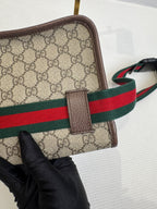 Gucci Belt Bag & Fanny Pack