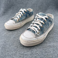 Louis Vuitton Canvas