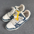 Louis Vuitton Skate shoes