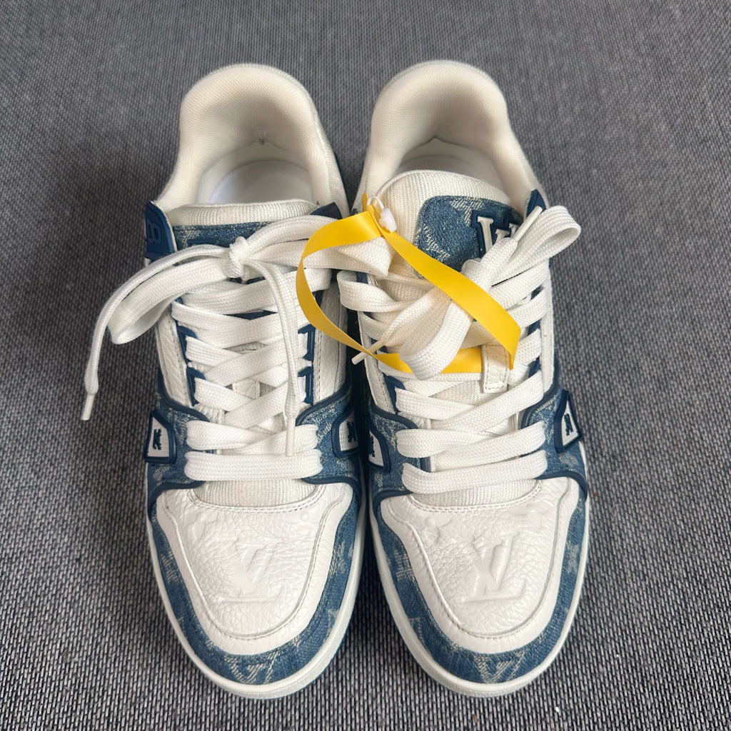 Louis Vuitton Skate shoes