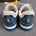 Louis Vuitton Skate shoes