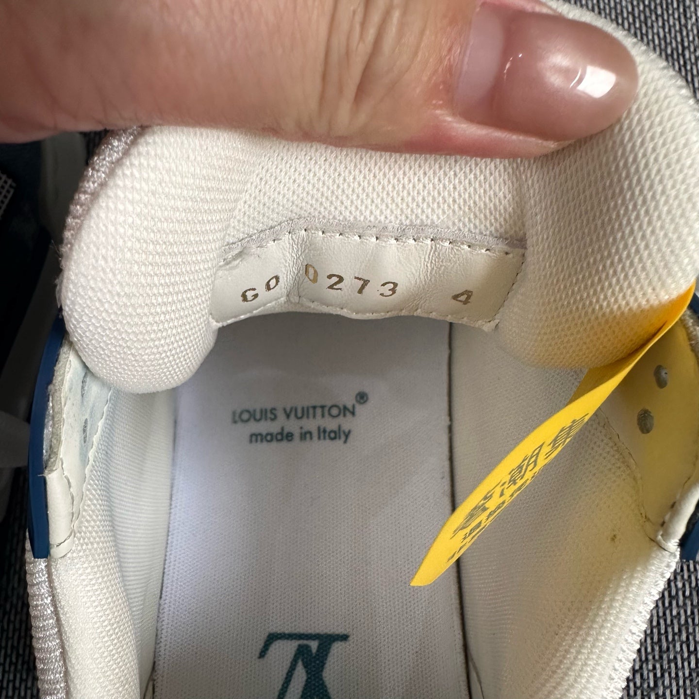 Louis Vuitton Skate shoes