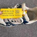 Louis Vuitton Skate shoes