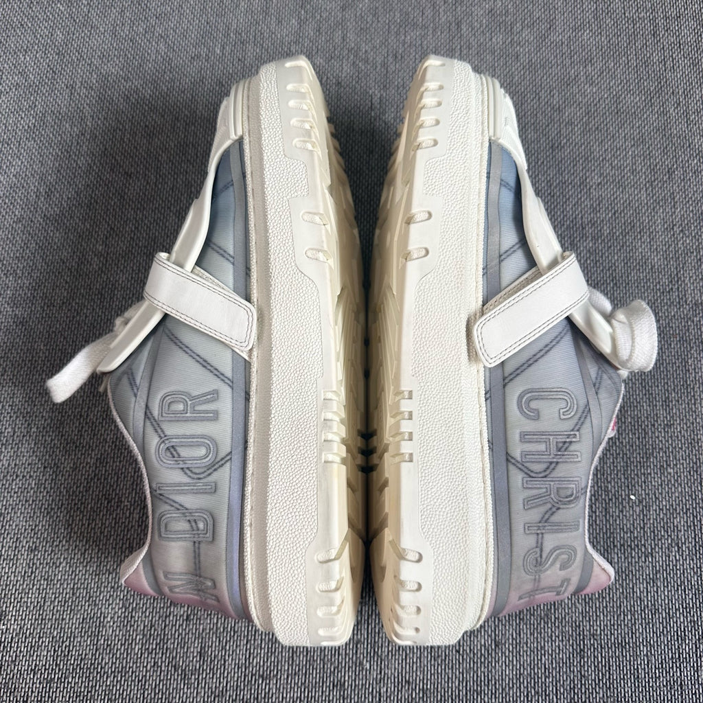 Dior Multicolor Skate shoes