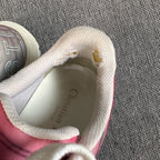 Dior Multicolor Skate shoes