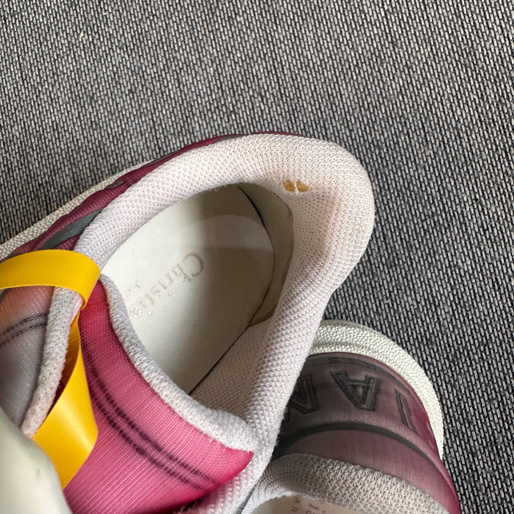 Dior Multicolor Skate shoes