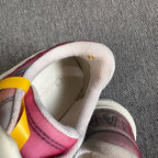 Dior Multicolor Skate shoes