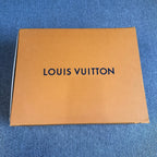 Louis Vuitton Skate shoes