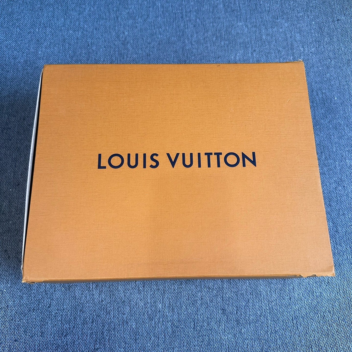 Louis Vuitton Skate shoes