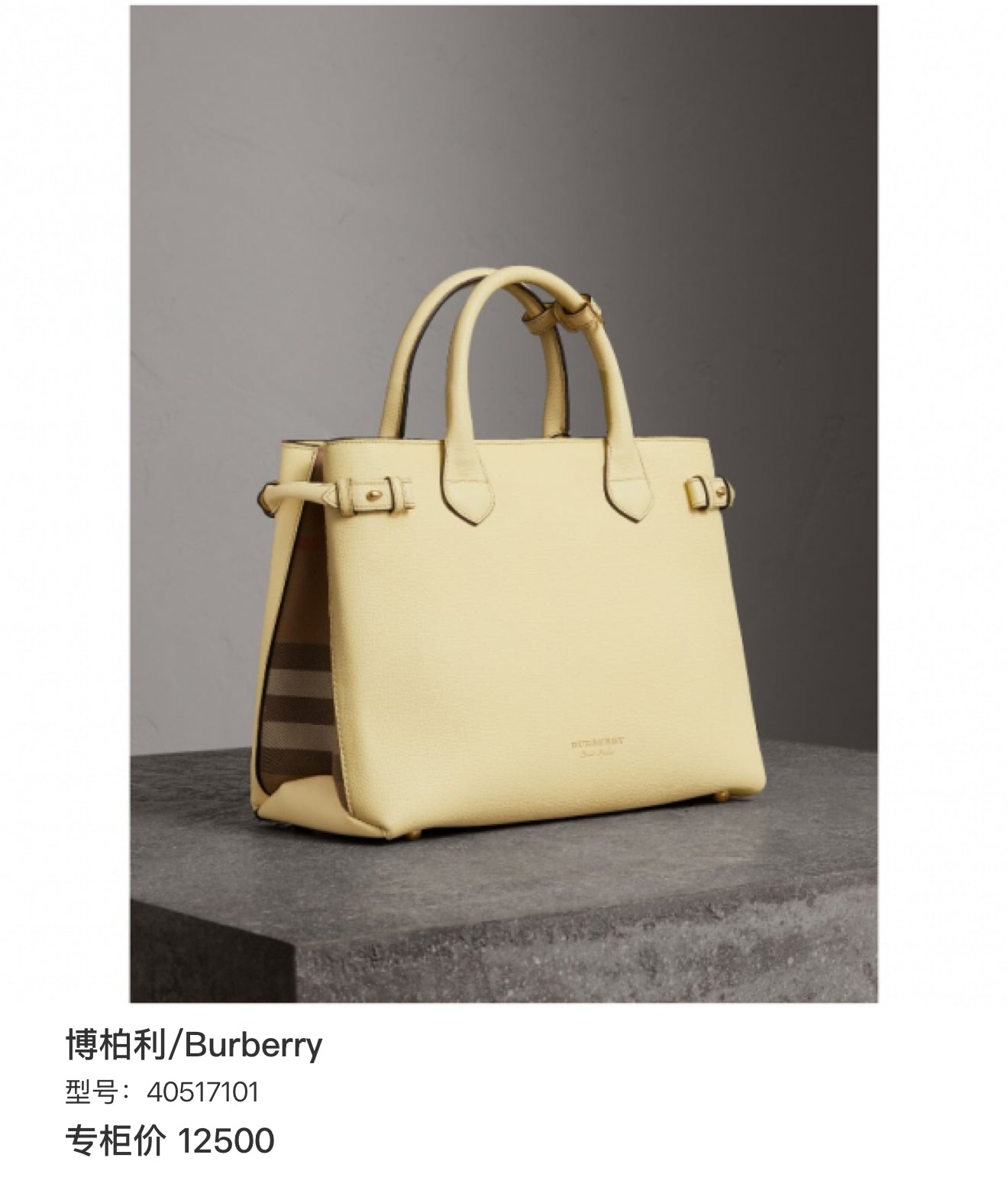 Burberry 40517101