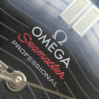 Omega Seahorse Series 42 210.32.42.20.01.001