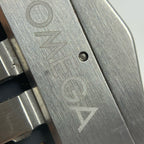Omega Seahorse Series 41 220.12.41.21.02.002