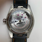 Omega Seahorse Series 41 220.12.41.21.02.002