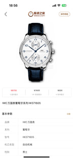 IWC Automatic (self-winding) watch