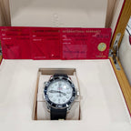 Omega Seahorse Series 42 210.32.42.20.04.001