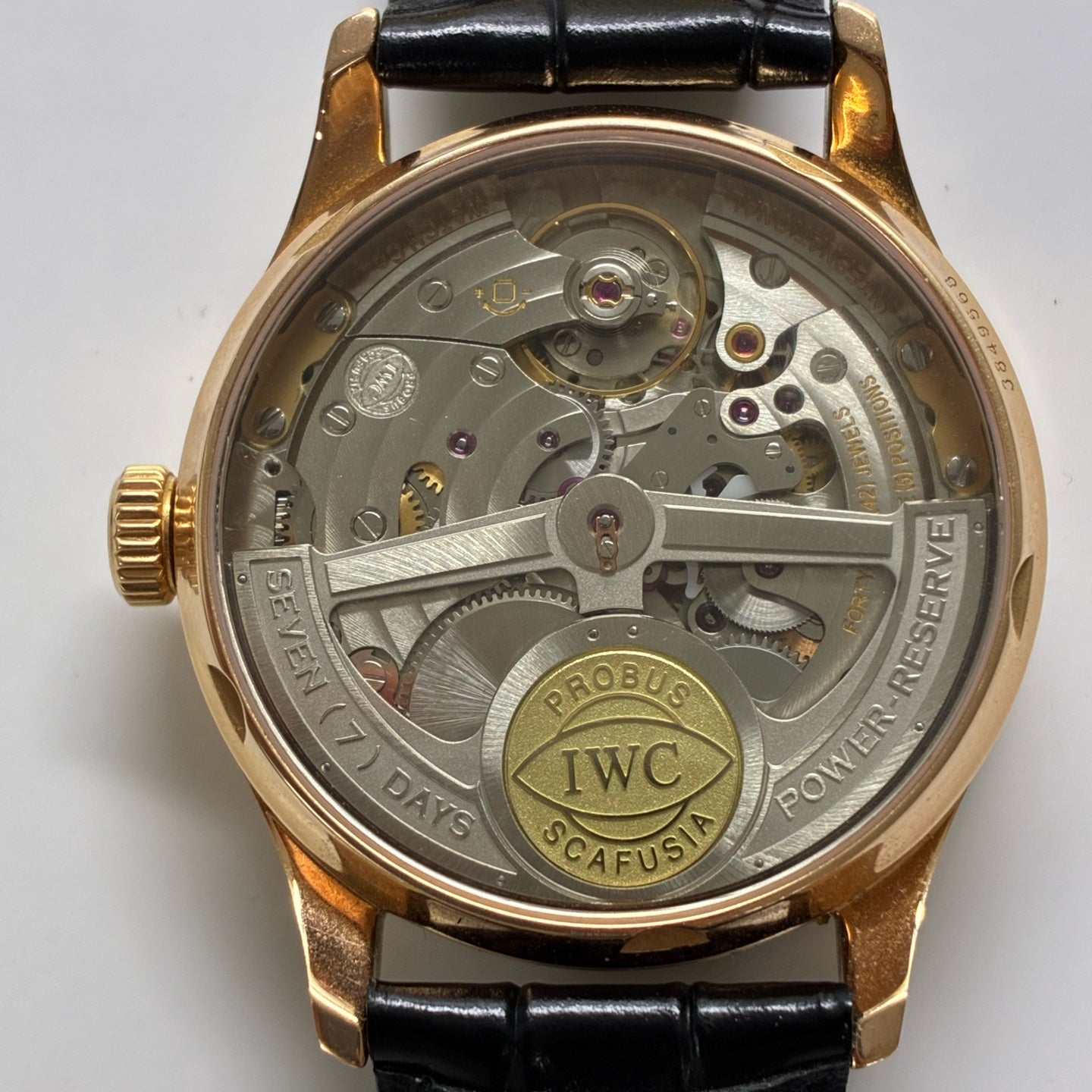 IWC Portugal Series 42.3 MM IW500113