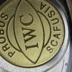 IWC Portugal Series 42.3 MM IW500113