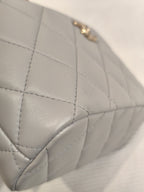 Louis Vuitton Gray