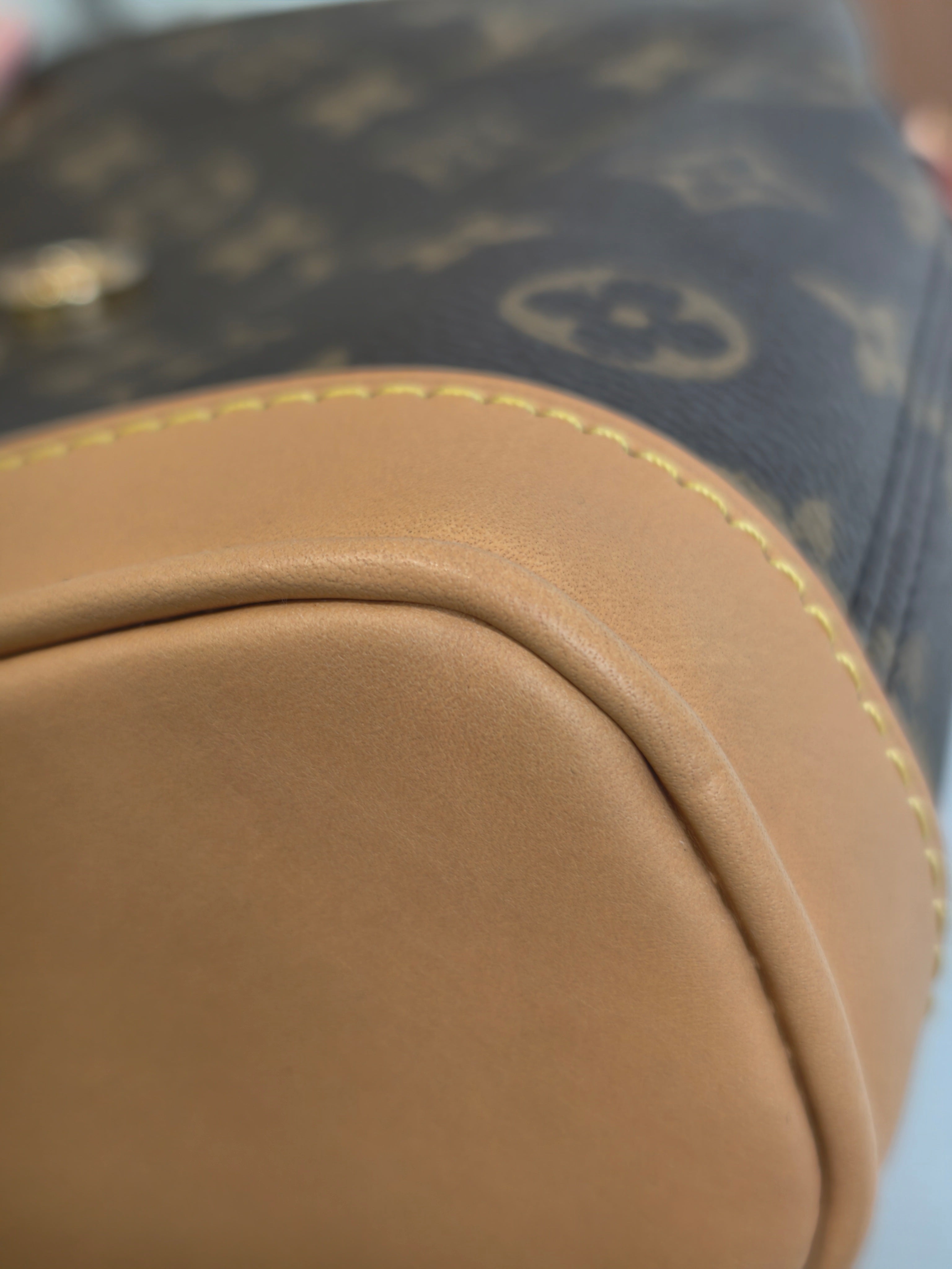 Louis Vuitton Backpack