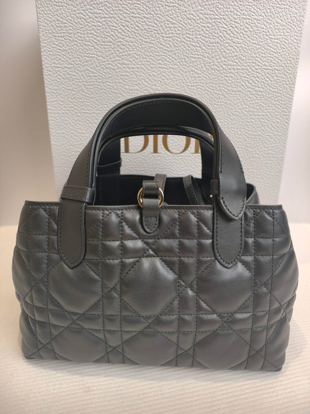 Dior Satchel